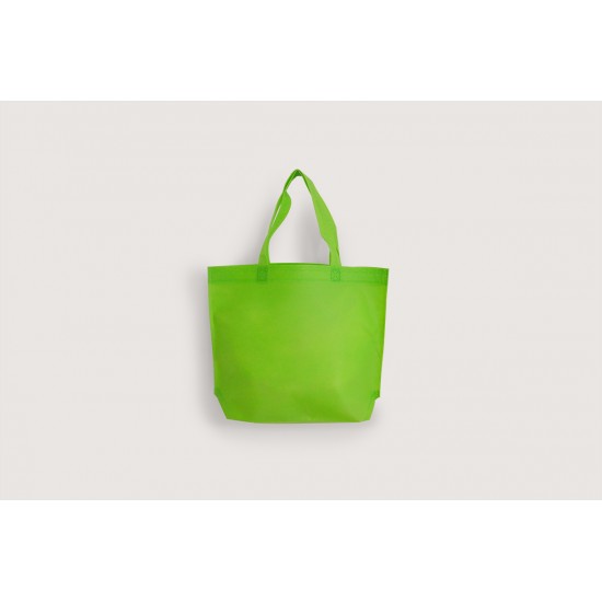 Non Woven Bags | 6 colors (L)